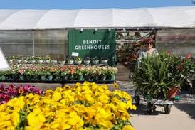 50 years of growth: Benoit Greenhouses continues family-owned operation