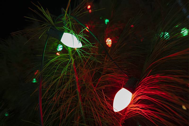 The colored bulbs on the POW/MIA tree represent a war or status of soldiers as seen at the tree lighting Saturday, Dec. 6, 2025, at Dixon's Veterans Memorial Park. White represents World War II, blue the Korean War, orange Desert Storm, clear is the Bulb of Hope, green means returned POW/MIAs and red signifies still missing in action.