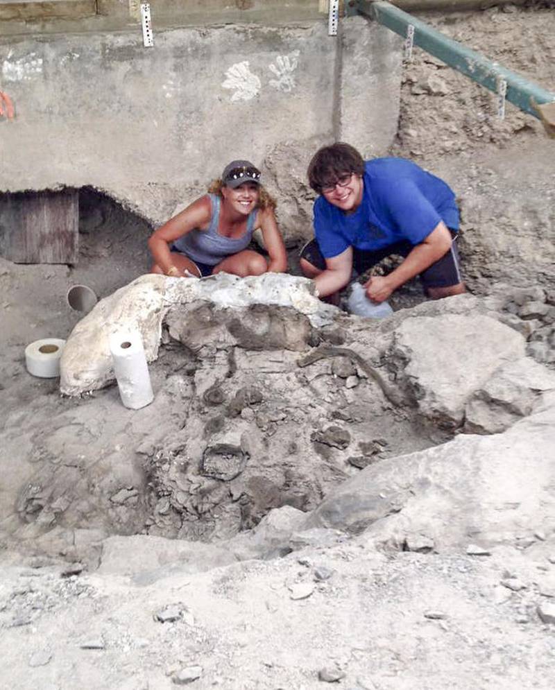 New Lenox paleontologist creating 3D maps of historic Jurassic site