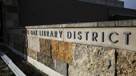 From STEM to STEAM to art to food: Will County libraries offer a variety of activities