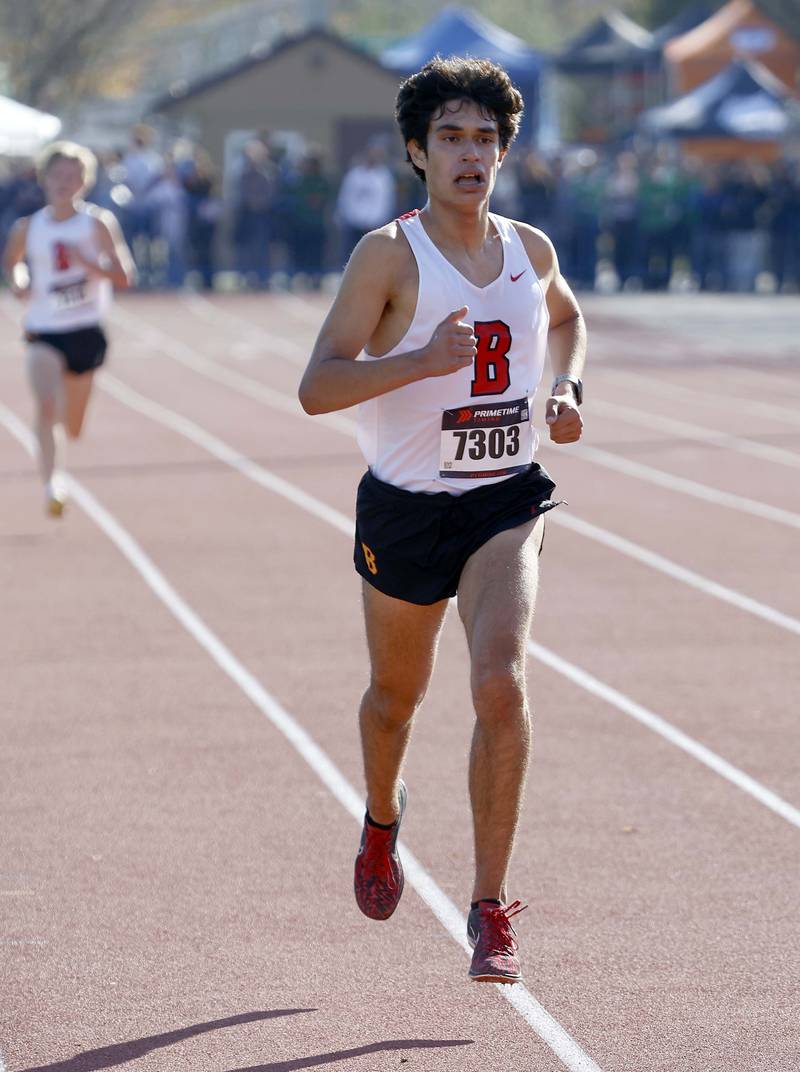 Francesco Benelli of Batavia during the IHSA Class 3A Lake Park cross country sectional  Saturday, Nov. 2, 2024 in Roselle.