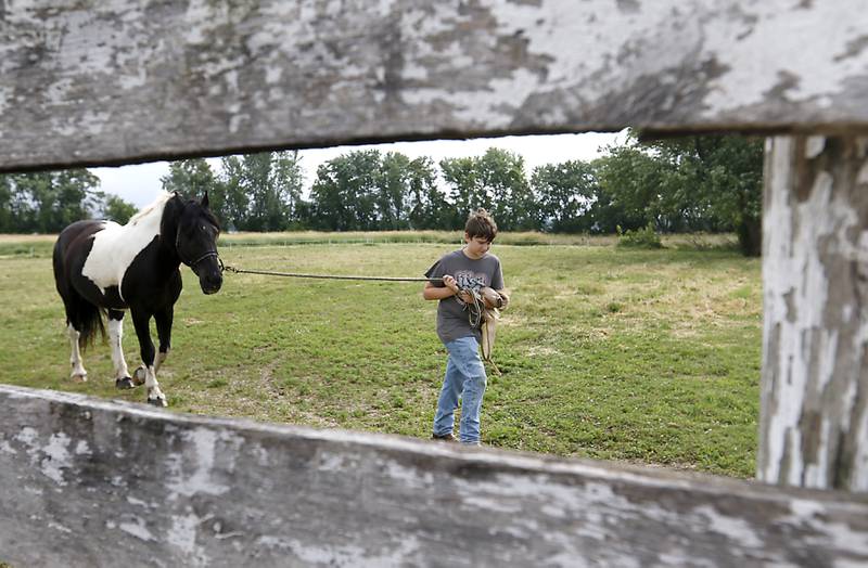 Johnathan. Birong, 12, brings Mac, a Northern Spotted Draft horse, from pasture Friday July, 8, 2022, at the R Double J Ranch, 2800 Derby Lane, in McHenry. The R Double J Ranch recently got the contract to operate this equine facility from McHenry with the goal of making it more of a community-centric center and make learning about horses and riding open to all.