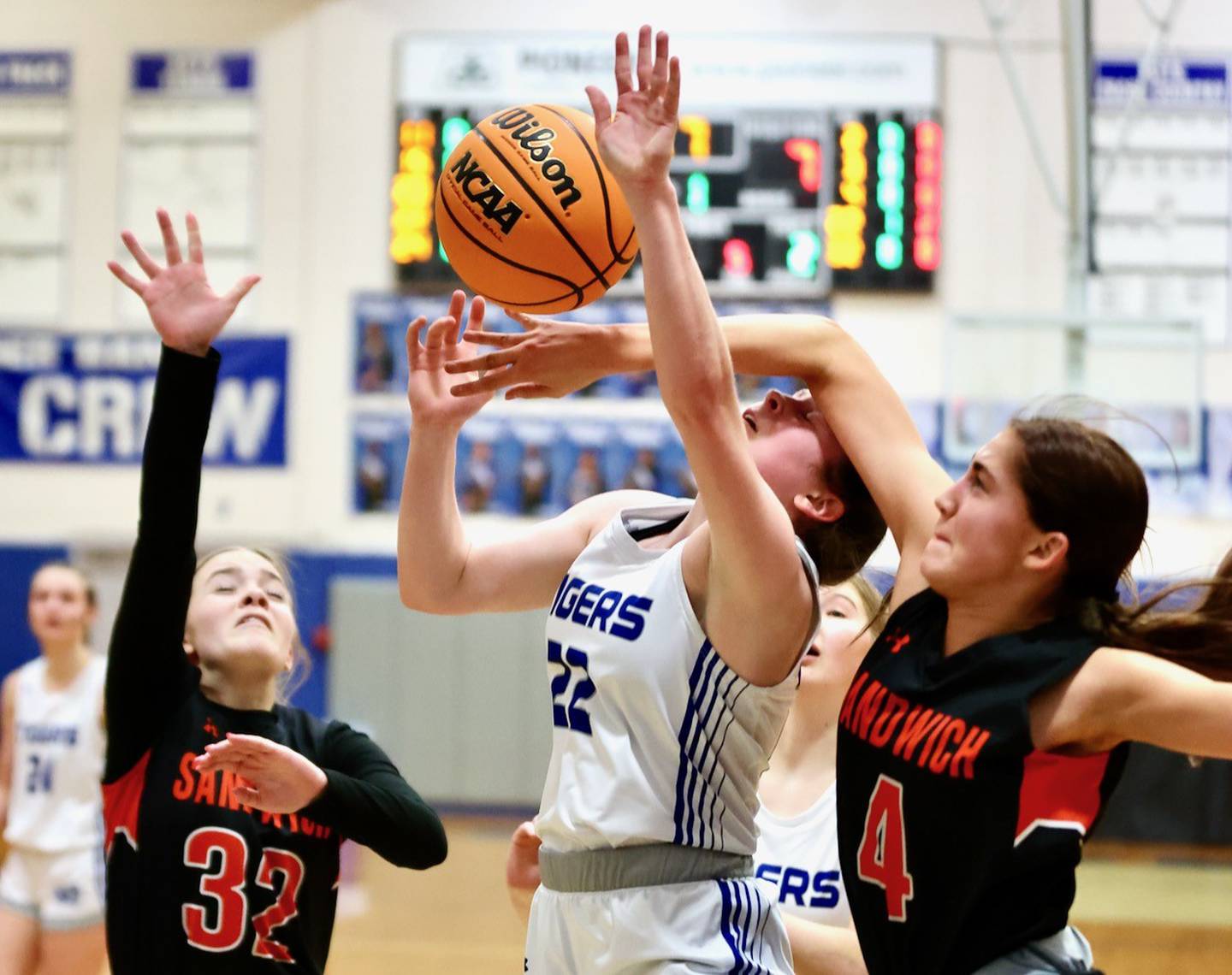 Princeton's Camryn Driscoll gets a helping hand from Sandwich's Hannah Treptow in regional semifinal play Tuesday at Prouty Gym. The Tigresses won 50-35.