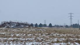 Developer wants 22 more townhomes in Sycamore subdivision