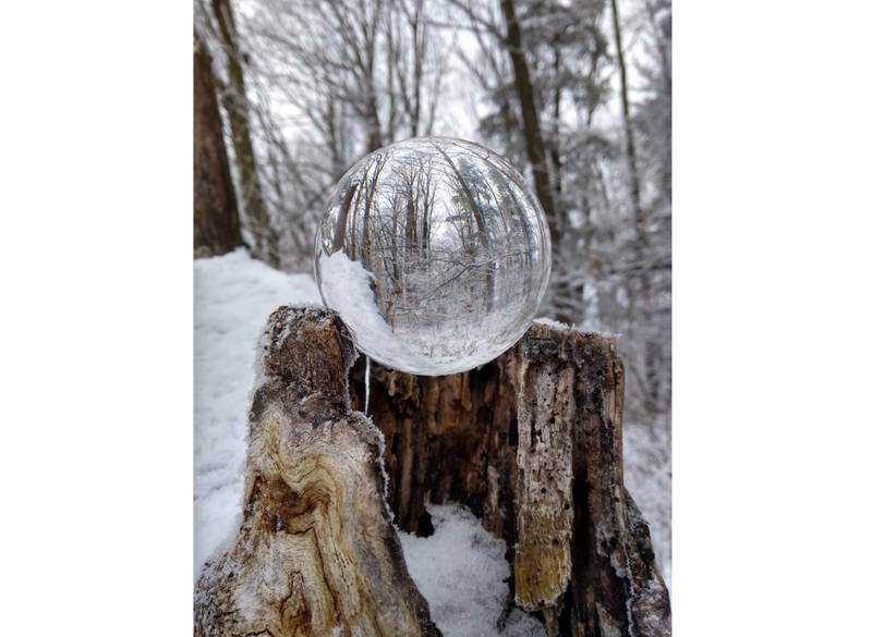 Mauverneen Blevins of New Lenox was awarded an honorable mention in 2021 for her image "Visions of Winter" at Gallery Seven's Open Lens annual juried exhibit of photos at the Lockport gallery.