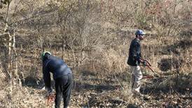 McHenry County Conservation District to host Green Friday Restoration Day