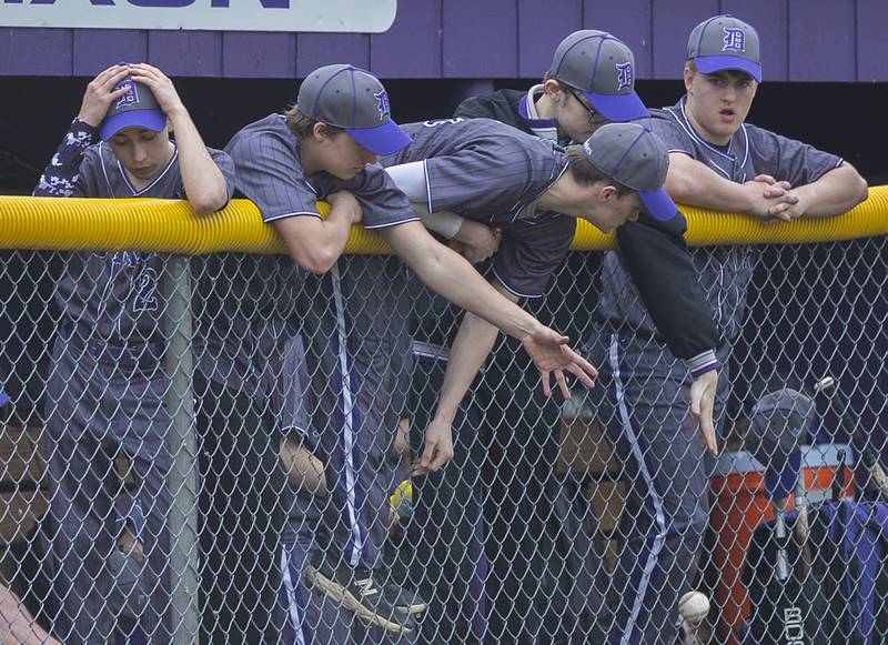 The Dixon Dukes’ bench reach for a foul ball Wednesday, March 13, 2024 against Rockford Jefferson.