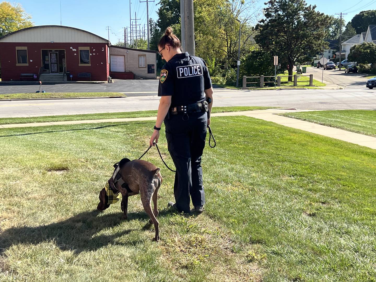 School Resource Officer Kaitlyn Pederson walks K9 Dooley outside of the Sycamore Police Department on Sept. 30, 2022.