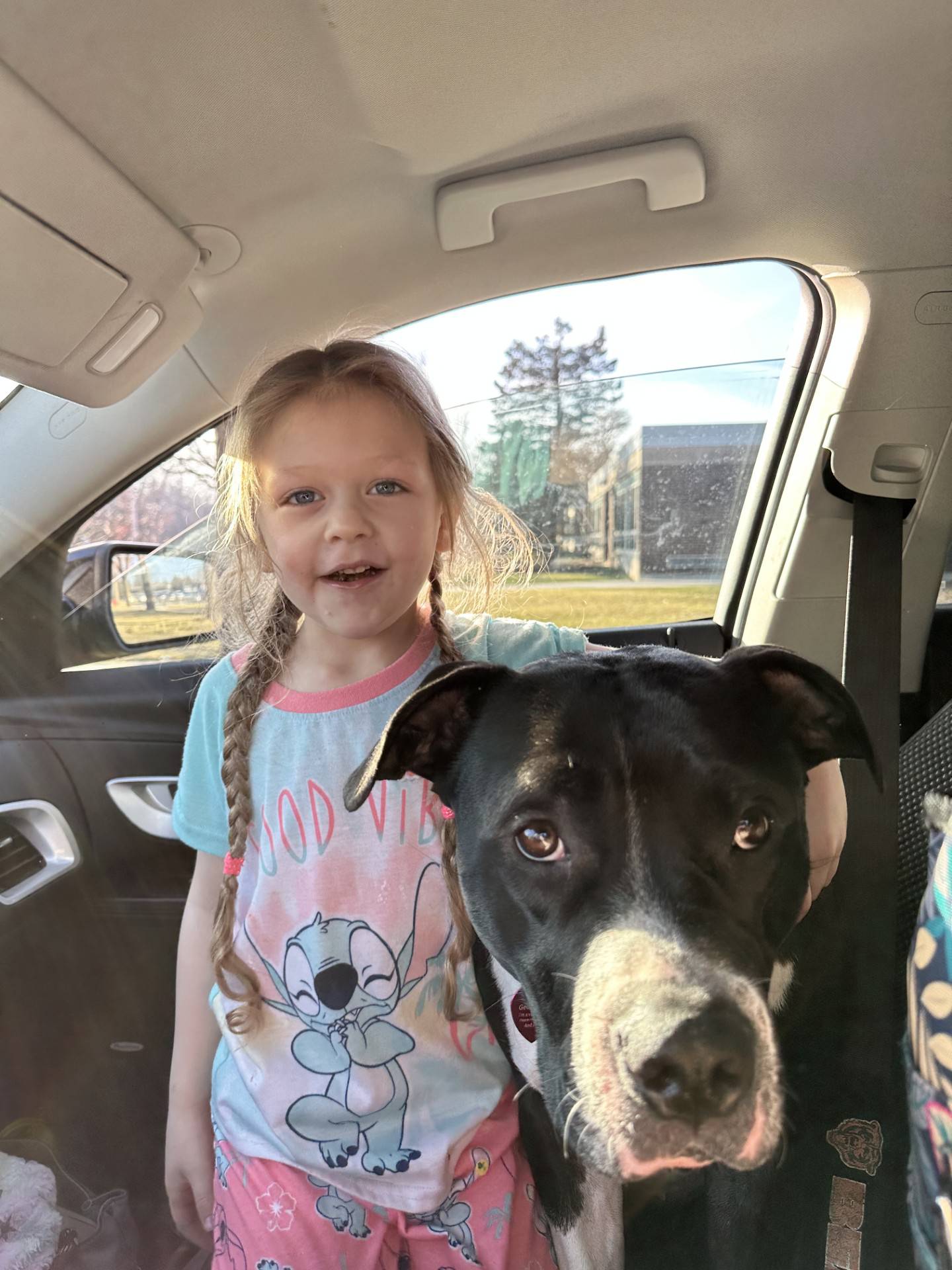 Jeremy and Krista Velmont's daughter is shown with one of the dogs that perished in a fire on May 25, 2025, at the Velmonts' Crystal Lake home.
