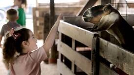 Photos: La Salle County 4-H Fair begins in Ottawa