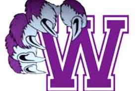 Wilmington tops Bishop Mac to win Class 2A baseball sectional: The Herald-News Saturday roundup