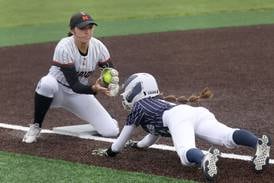 Photos: Cary-Grove vs. McHenry, FVC softball