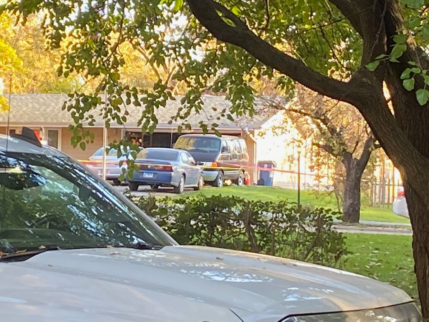 The Will County Sheriff's Office blocked off Middletree Road after deputies gunned down a man as he stabbed his grandfather to death Saturday afternoon, according to police.