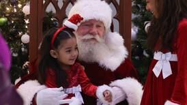 Photos: The Joliet Light Up the Holidays Festival