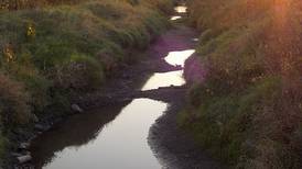 Migratory Birdwatching Hike at Lake Kakusha