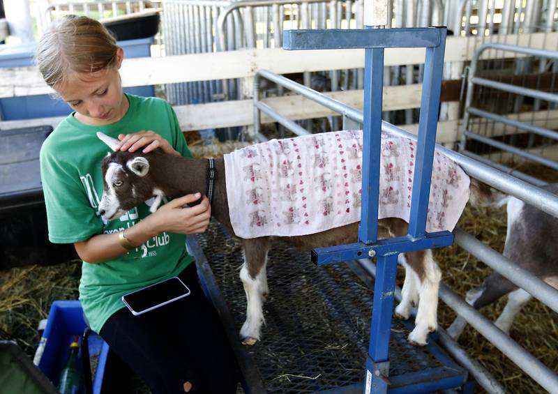 Stefani Vanderstappen, of Woodstock, pets her goat Athena, during the first day of the McHenry County Fair Tuesday, August 2, 2022, at the fairgrounds in Woodstock. The fair funs through Sunday, Aug. 7.  Entry to the fair is $10 for anyone over age 14, and $5 for chidden ages 6 to 13. Ages 5 and under are free.