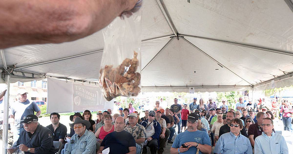 Local Scene Morel Fest returns during eventful weekend in the Illinois