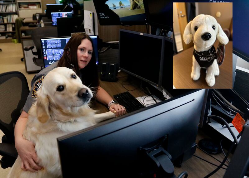 Northeast Regional Communications Center dispatcher Tracy McNamara poses with therapy dog Oakley in March 2024. Now a stuffed animal version of Oakley, inset, is available for purchase.