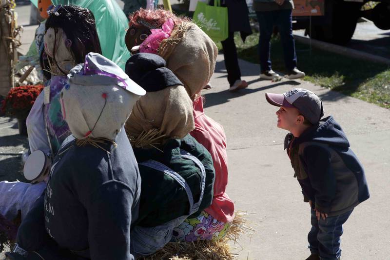 Three-year-old Wells M. of Batavia peers through a bunch of scare crows as he has his picture taken during the opening day of Scarecrow Weekend Friday October 7, 2022 in St. Charles. The festival continues from 10 a.m. to 6 p.m. on Saturday and Sunday, Oct. 9, in downtown St. Charles. The 37th annual festival featuring 85 handcrafted scarecrows on display throughout downtown. Festivalgoers can vote to decide the winners in four categories: mechanical/mega; clubs, nonprofits and schools; individuals; and business. The family zone in Lincoln Park features live music and dance performances, magic show, giant bubble artist, a photo op area, scarecrow in a box and more. Plus, Touch-A-Truck, professional pumpkin carving and more. Autumn on the Fox Arts and Crafts Show is at Pottawatomie Park.