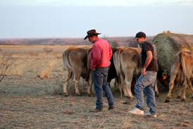 Illinois farmers donate hay to drought-stricken Texas ranchers