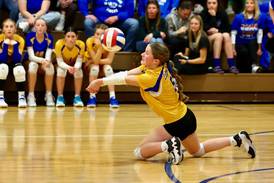 Princeton Logan falls in IESA Class 3A eighth-grade sectional volleyball championship