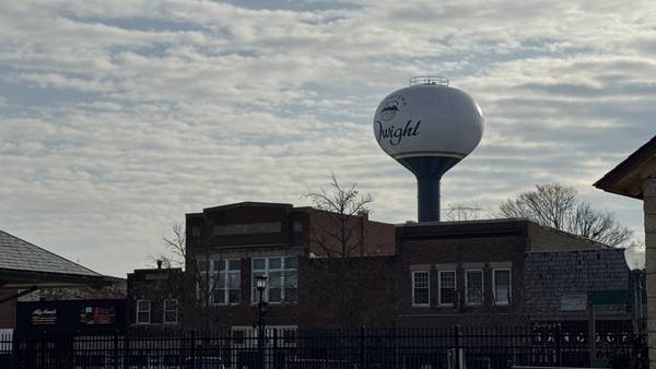 Dwight business leaders re-establishing Dwight Area Chamber of Commerce