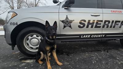 Lake County Sheriff’s Office K9 Hemi to receive body armor