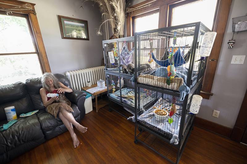 “I am the only rehabber until you get to Rockford,” Jane Hochstatter said. “So it’s pretty much Princeton to the entire northwest Illinois. Pretty much the area I cover, and it’s just too much.”