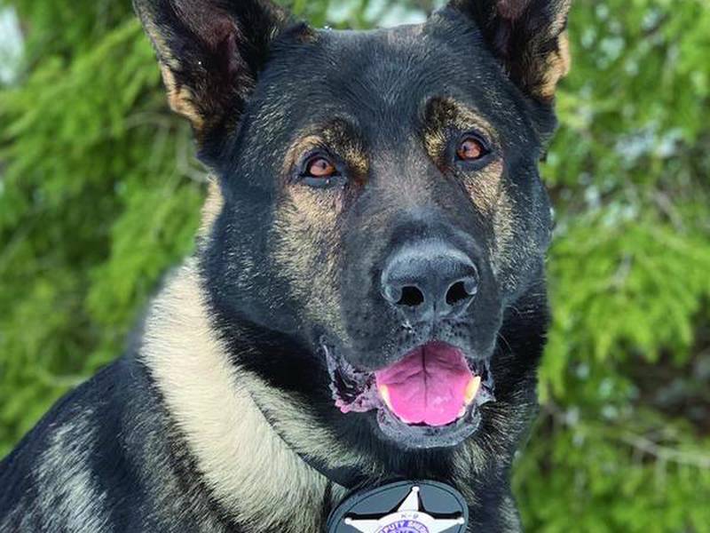 Lake County Sheriff’s Office mourns loss of K-9 Dax