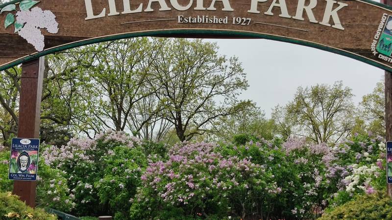 Springtime festivals celebrate music, art, history in northern Illinois