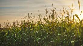 Students harvest knowledge about agriculture at Ag Awareness Days