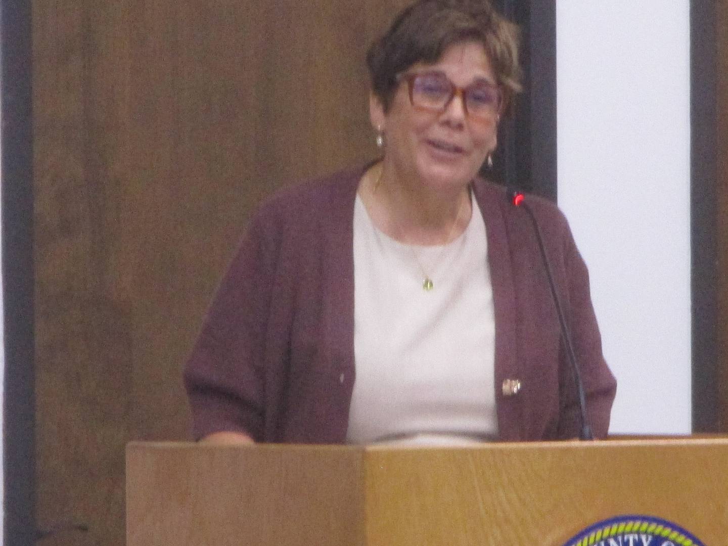 Will County Executive Jennifer Bertino-Tarrant delivers her annual State of the County address on Thursday, Aug. 21, 2025.