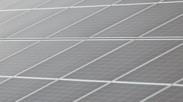 Will County judge to rule on bid to stop vote on 6,100-acre solar complex