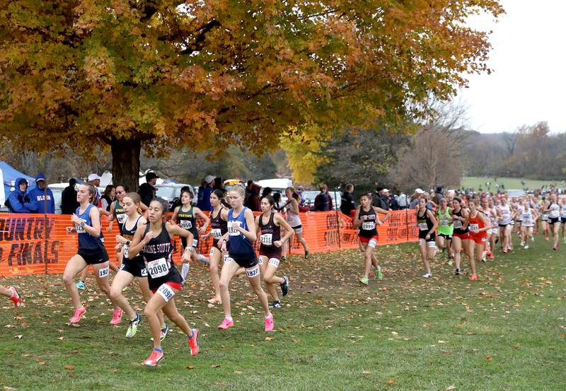 Runners compete in the Class 3A Girls State Cross Country Championships on Saturday, Nov. 9, 2024 at Detweiller Park in Peoria.