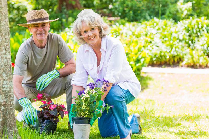 Willow Falls -Gardening Tips for Seniors