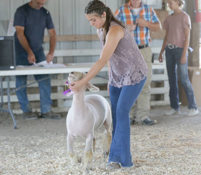 Kylee Cook of Toluca, shows her sheep during the Marshall-Putnam 4-H Fair on Wednesday, July 20, 2022 in Henry.
