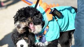 Photos: Polo High School's 2025 Doggy Dash