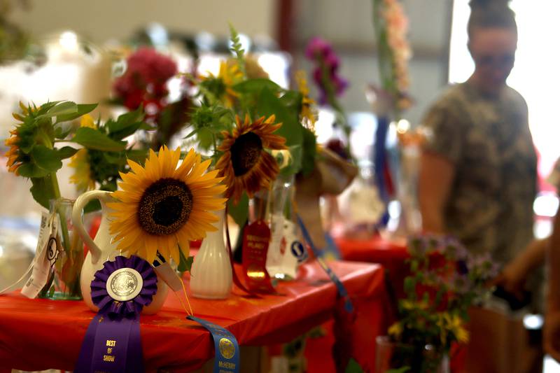 Fairgoers peruse exhibits on the final day of the 2025 McHenry County Fair in Woodstock on Sunday, August 3, 2025.