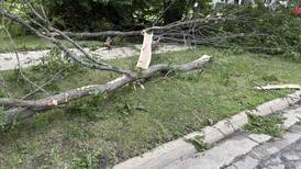 Low-interest loans available for businesses impacted by August 2025 storm damage  