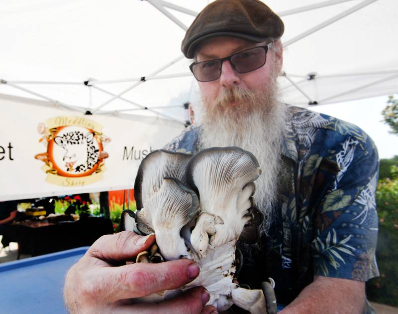 William Thomas of Amboy holds one of his gourmet mushrooms that he had for sale at the Dixon City Market on Wednesday, June 7, 2023.