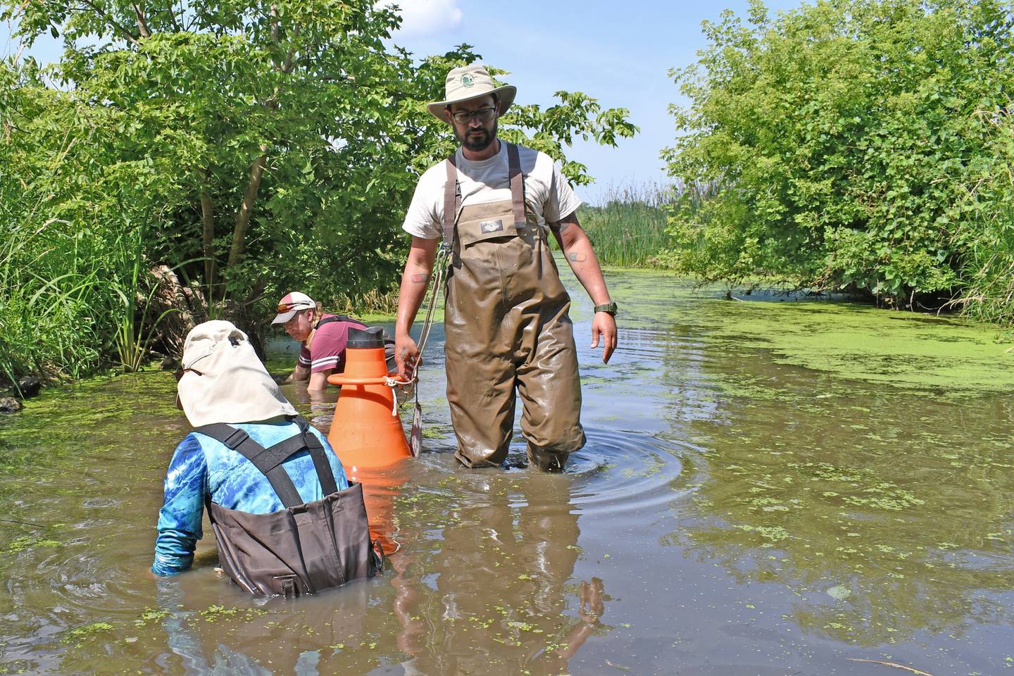 Staff from the Will County and DuPage County forest preserve districts work together to search for a rare mussel that could be used to restock DuPage County creeks and streams.