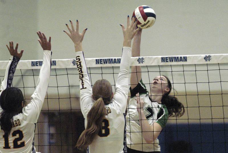 RF's Addison Miller gets a ball past two Sherrard defenders. Rock Falls took on Sherrard in the Class 2A regional volleyball semifinal Tuesday, Oct. 29, 2024 at Newman High School.
