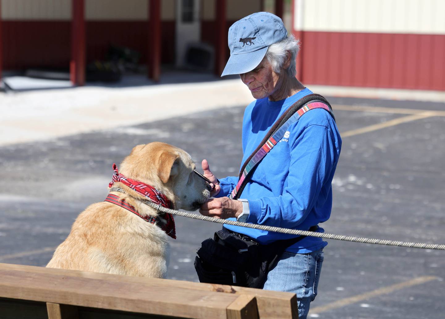 Longtime Tails Humane Society volunteer Nancy Rigler does some training with Butterscotch Thursday, April 23, 2026, at Tails in DeKalb.