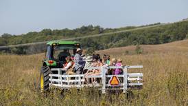 Bison, birds and prairie adventures await at Nachusa Grasslands Fall Festival 