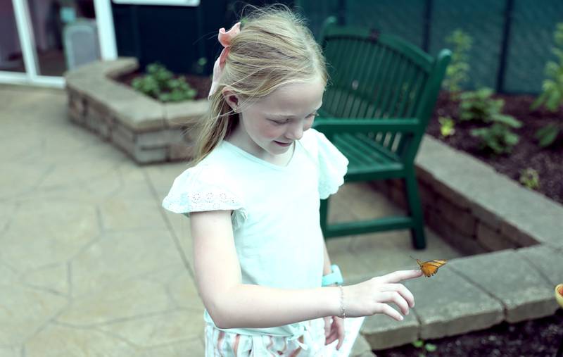 Savannah Miller, 9, has a butterfly land on her at the Butterfly House at Peck Farm Park in Geneva. The Butterfly House opened for the 2025 season on May 17.