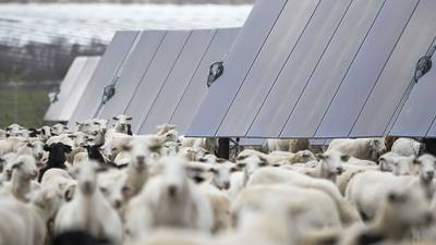 $14 billion in clean energy projects have been canceled in the US this year, analysis says