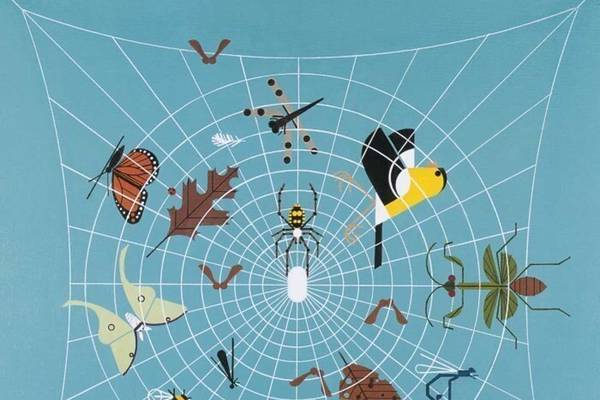 Hidden Oaks in Bolingbrook hosts ‘whimsical’ Charley Harper nature art exhibit 