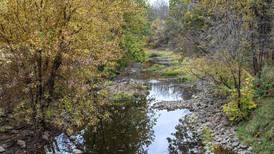 Grundy County Board approves $2.7 million Rice Road bridge project near South Wilmington