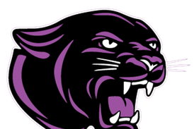 Seven McHenry County girls wrestlers advance to IHSA state semifinals