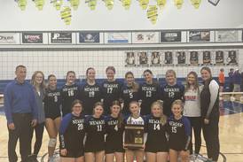 Heather Buhle delivers at the net, at the service line, powers Newark past Serena in regional final